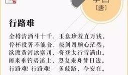 琵琶行动漫,穿越时空的旋律传奇