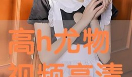 高h视频,揭秘视觉盛宴背后的技术奥秘