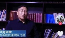 许敏直播展示91户,91户家庭生活全景展现